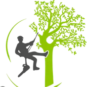Logo Service d'élagage à Lyon