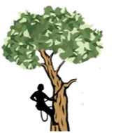 Logo Allais Élagage 78