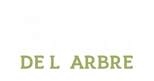 Logo A l'écoute de l'arbre