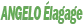 Logo Angelo Élagage