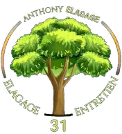 Logo Anthony Élagage