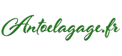 Logo Antoelagage