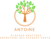 Logo Antoine Elagage-Abattage 95