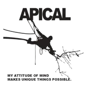 Logo Apical