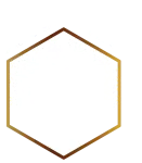 Logo Arbor avec Sens