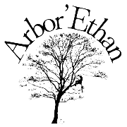 Logo Arbor'Ethan