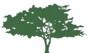 Logo Maxime Bâte