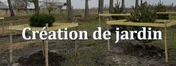 Logo Arbre en vue