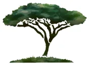 Logo Arbrissime