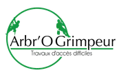 Logo Arbr'O Grimpeur