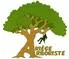 Logo Ariège Arboriste