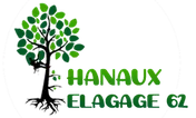 Logo Hanaux elagage 62