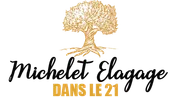 Logo Artisan Michelet