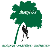 Logo Ternus