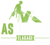 Logo Ascension