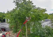 Logo Avenir DE L'arbre