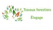 Logo Axel Guetté Travaux Forestiers