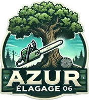 Logo Azur Elagage 06