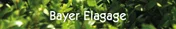 Logo Bayer Elagage