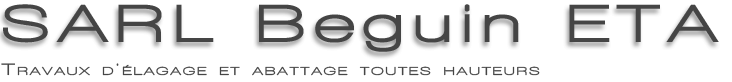 Logo SARL Beguin ETA