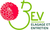 Logo BEV