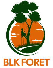 Logo BLK Foret