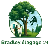 Logo Bradley Elagage