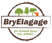 Logo Bry Élagage