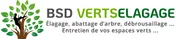 Logo BSD Vertsélagage