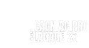 Logo Cagniac pro élagage 33
