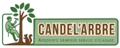 Logo Candel'arbre