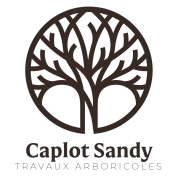 Logo Caplot Sandy