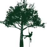 Logo DAS Élagage