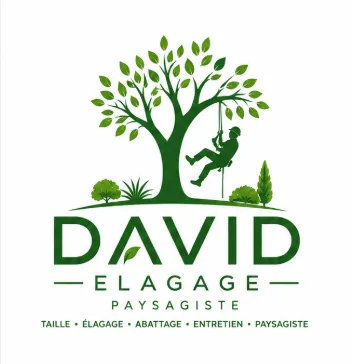 Logo David Elagage