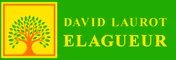 Logo David Laurot Élagage