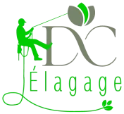 Logo DC Élagage