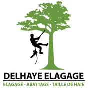 Logo Delhaye Élagage