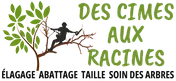 Logo Des cimes aux racines