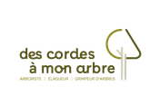 Logo Des cordes à mon arbre