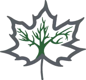 Logo Dans La Ramure Du Feuillage