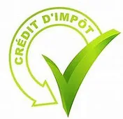 Logo DNM Services et Paysages