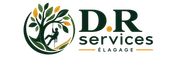 Logo D.R services