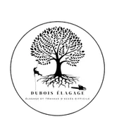 Logo Dubois Elagage