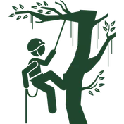 Logo Du Pin Élagage
