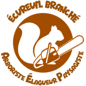 Logo Écureuil Branché
