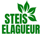 Logo Steis elagueur