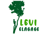 Logo Levi elagage