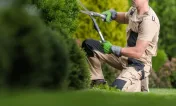 Logo Comere Élagage & Jardins
