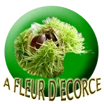 Logo A Fleur D'ecorce