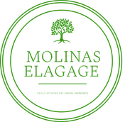 Logo Elagage Molinas